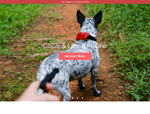 Tablet Screenshot of myraddog.com